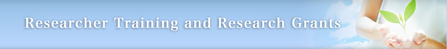 Researcher Training and Fostering